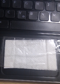 TouchPad hardware hack